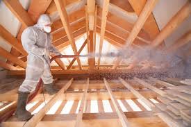 Best Eco-Friendly Insulation Solutions  in El Lago, TX